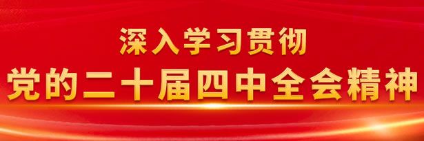 深入學(xué)習(xí)貫徹黨的二十屆四中全會(huì)精神